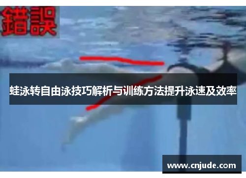 蛙泳转自由泳技巧解析与训练方法提升泳速及效率